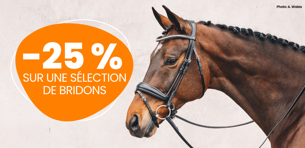 20% hoofdstellen