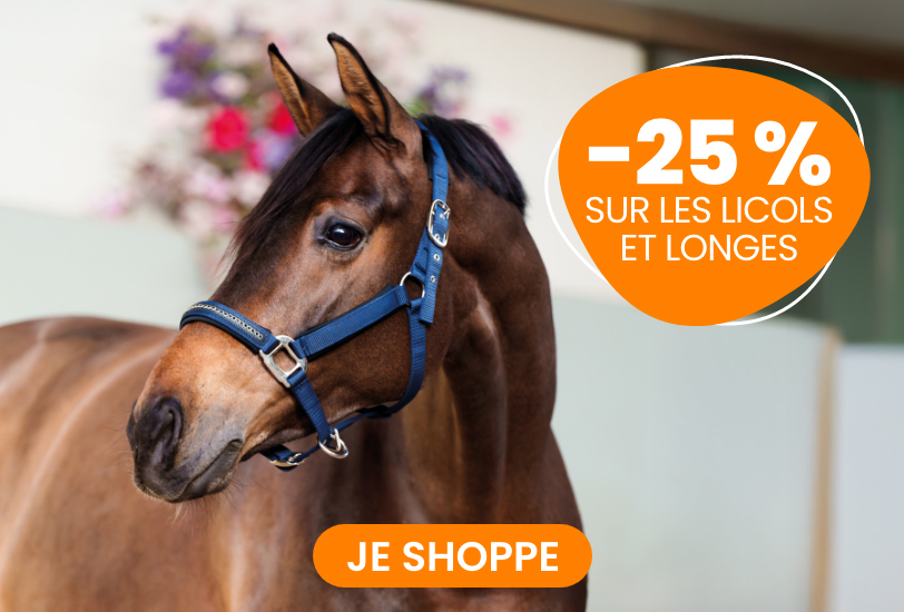 25% halster + touwen