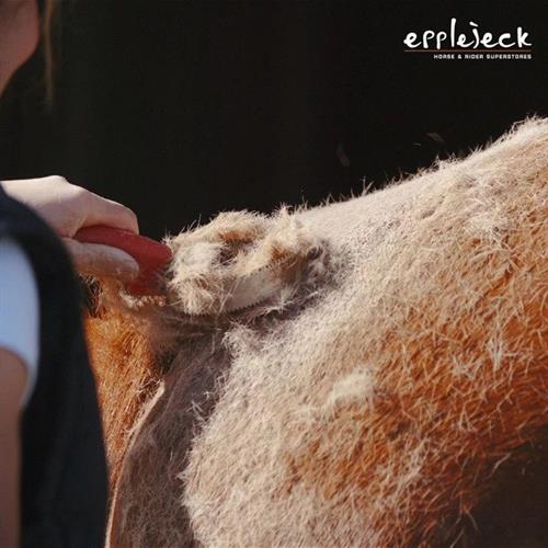 Aider son cheval à perdre ses poils