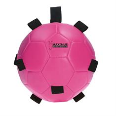 Jouets pour chevaux ball