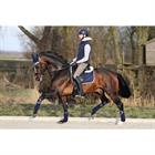 Bandes de polo HGAurum HORSEGEAR Bleu foncé