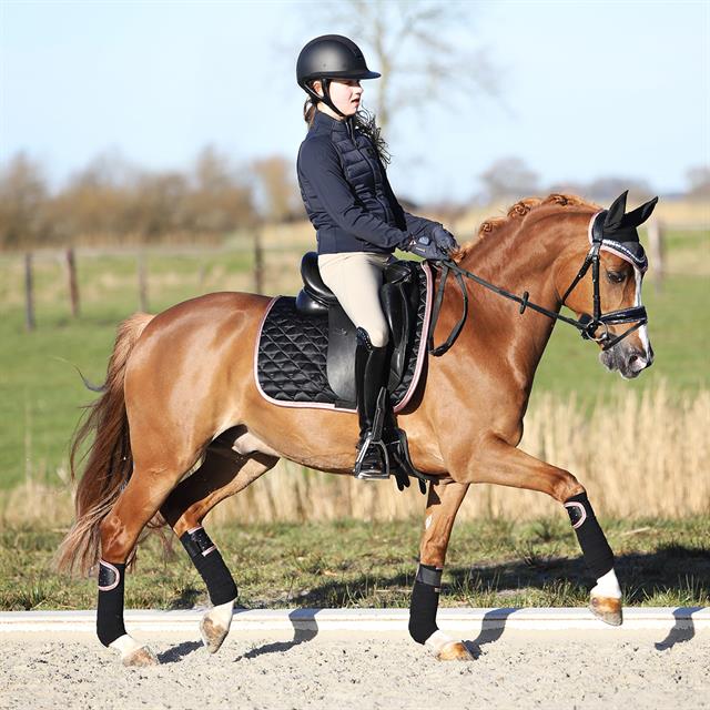 Bandes de polo HGAurum HORSEGEAR Noir
