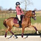 Bandes de polo HGAurum HORSEGEAR Rouge foncé