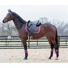 Bandes de polo HGAurum HORSEGEAR Rouge foncé