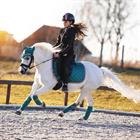 Bandes de polo HGAurum HORSEGEAR Vert