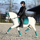 Bandes de polo HGAurum HORSEGEAR Vert