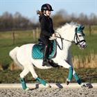 Bandes de polo HGAurum HORSEGEAR Vert