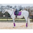 Bandes de polo HGAurum HORSEGEAR Violet