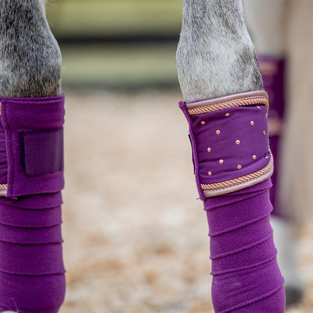 Bandes de polo HGAurum HORSEGEAR Violet