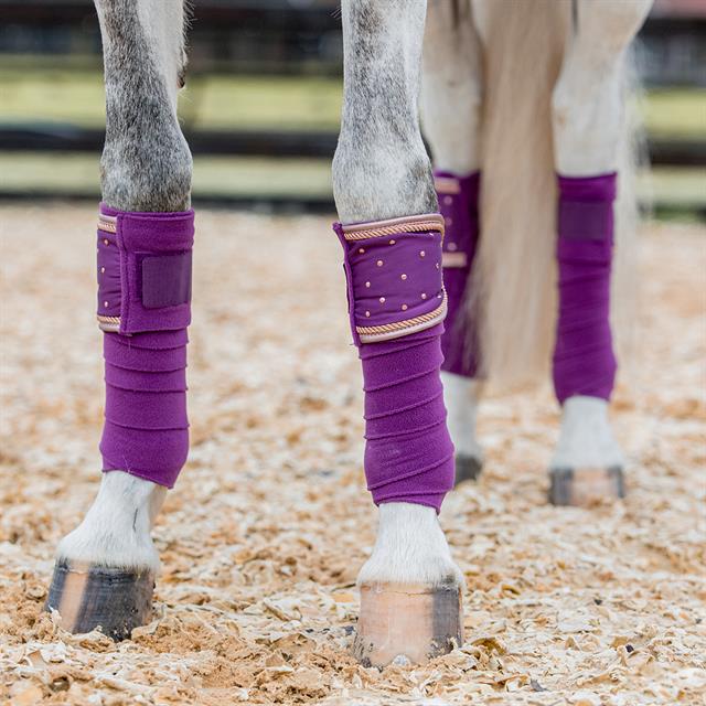 Bandes de polo HGAurum HORSEGEAR Violet