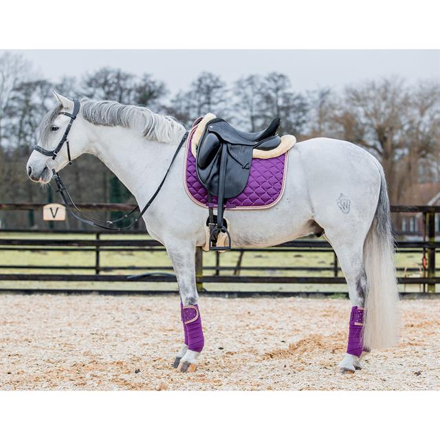 Bandes de polo HGAurum HORSEGEAR Violet