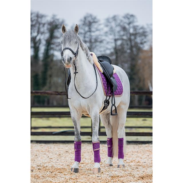 Bandes de polo HGAurum HORSEGEAR Violet