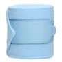 Bandes de polo Reflexx Polaire Stamp Eskadron Bleu clair