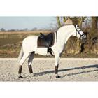 Bandes de polo Ruches 4-pack HORSEGEAR Marron foncé
