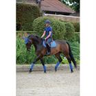 Bandes de polo WeatherBeeta MID BLUE