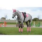 Bandes de polo WeatherBeeta Rose foncé