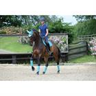 Bandes de polo WeatherBeeta Turquoise