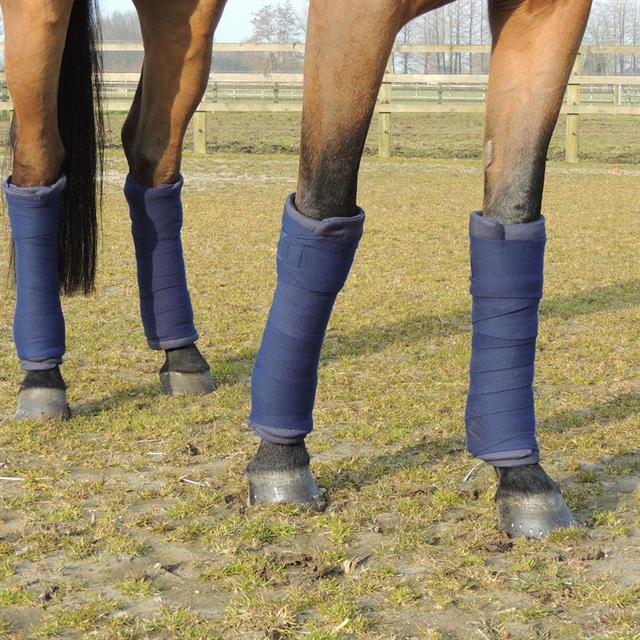 Bandes de polo Wool Kentucky Bleu foncé