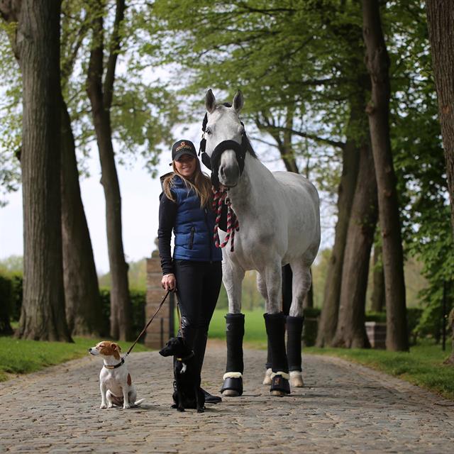 Bandes de polo Wool Kentucky Noir