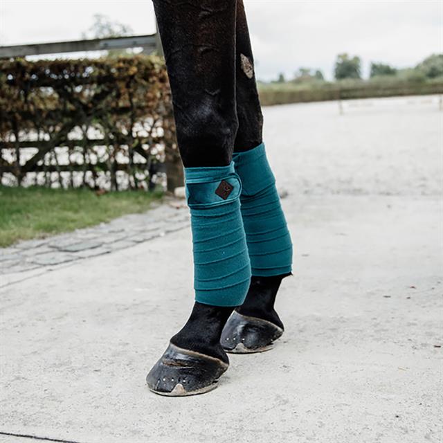 Bandes Polar Fleece Velvet Kentucky Vert moyen