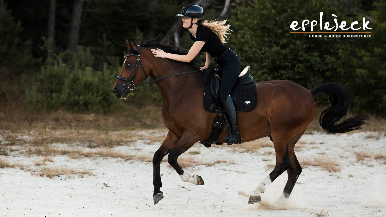 Casque équitation haut de gamme - Casques pour la protection du cavalier