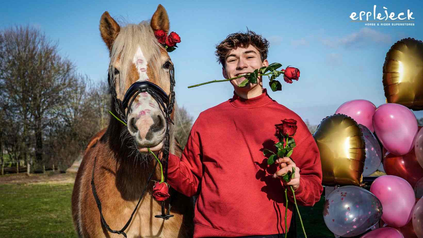 Comment passer une parfaite Saint Valentin avec son cheval