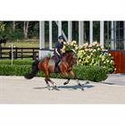 BEENBESCHERMERS ESKADRON SOFTSHELL Vert