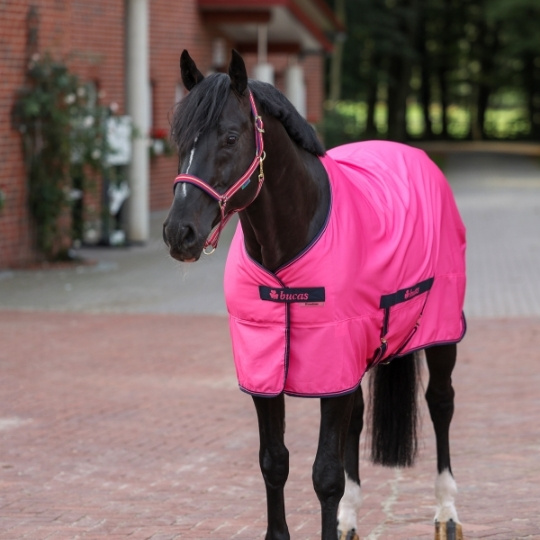 Blog Epplejeck : aider son cheval à perdre ses poils