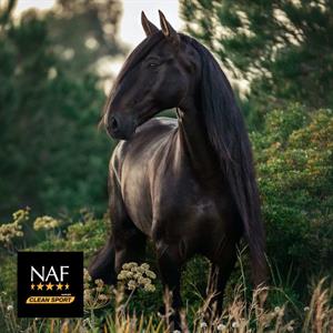 Blog Nouveauté NAF : Metazone