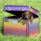 Boite de Pansage Shiny Imperial Riding Multicolor