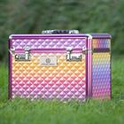 Boite de Pansage Shiny Imperial Riding Multicolor