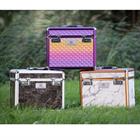 Boite de Pansage Shiny Imperial Riding Multicolor