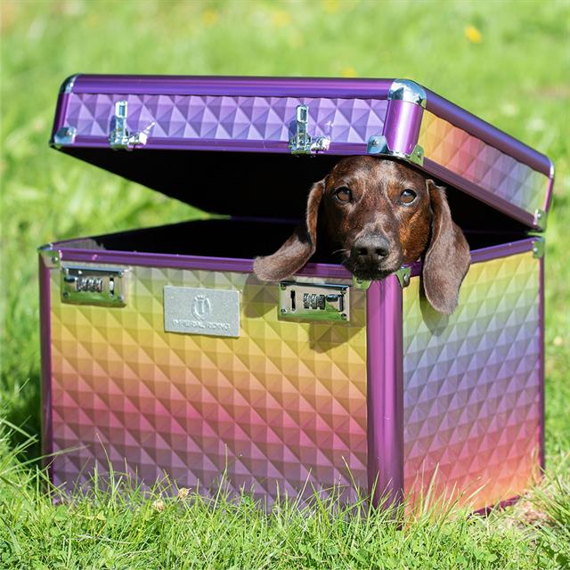 Boite de Pansage Shiny Imperial Riding Multicolor