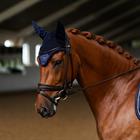 Bonnet anti-mouches Lagoon Blush Equestrian Stockholm Bleu foncé