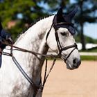 Bonnet anti-mouches Lagoon Blush Equestrian Stockholm Bleu foncé