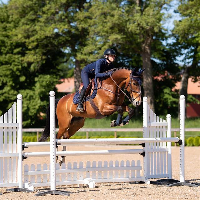 Bonnet anti-mouches Lagoon Blush Equestrian Stockholm Bleu foncé