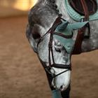Bonnet anti-mouches Modern Mint Green Equestrian Stockholm Vert clair