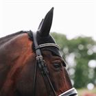 Bonnet anti-mouches Wellington Sparkling Kentucky Noir