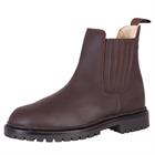 Boots Hiver Alaska II BR Marron