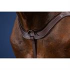 Borsttuig Anatomisch Us Hunter Collectie Dy'on Marron