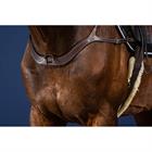 Borsttuig Anatomisch Us Hunter Collectie Dy'on Marron