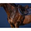 Borsttuig Bridge Us Hunter Collectie Dy'on Marron