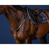 Borsttuig Long Bridge Us Hunter Collectie Dy'on Marron