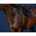 Borsttuig Long Bridge Us Hunter Collectie Dy'on Marron