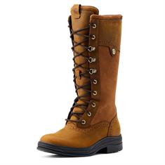 Bottes outdoor Wythburn II Waterproof Ariat Marron