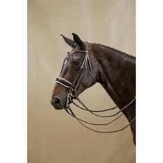 Bride Dressage Laque Working Collection Dy'on Marron-blanc