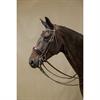 Bride Dressage Laque Working Collection Dy'on Marron