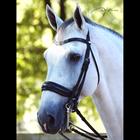 Bride Dressage Mat Working Collection Dy'on Noir