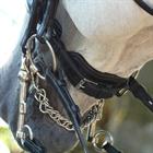 Bride Dressage Mat Working Collection Dy'on Noir