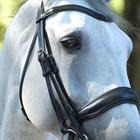 Bride Dressage Mat Working Collection Dy'on Noir